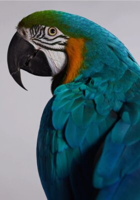 img 9670